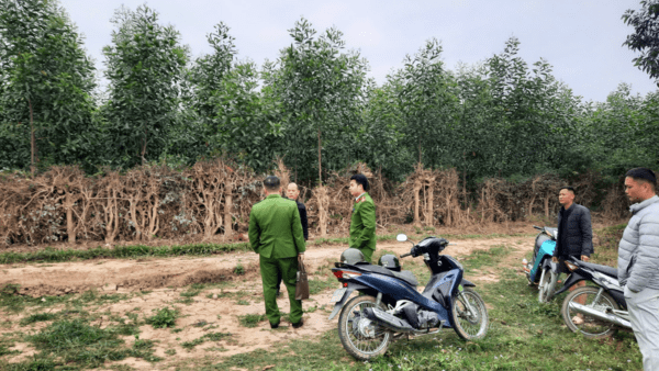 Kịp thời ngăn chặn các trường hợp khai thác cát trái phép